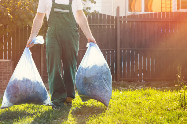 Best Basement Cleanout  in Meadowbrook, VA